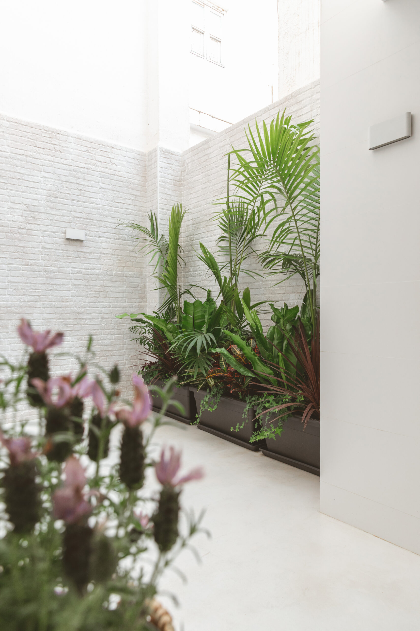 Vivienda Adhoc Patio